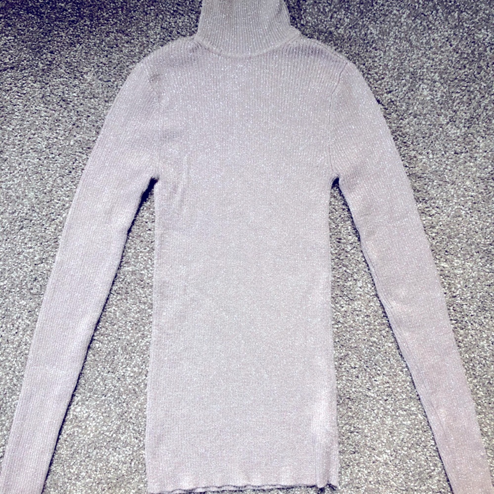 Express sparkly fitted turtleneck sweater